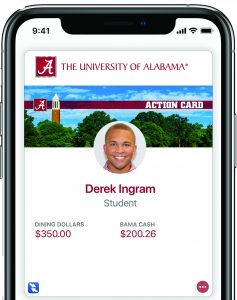 Screenshot of eAccounts on iPhone